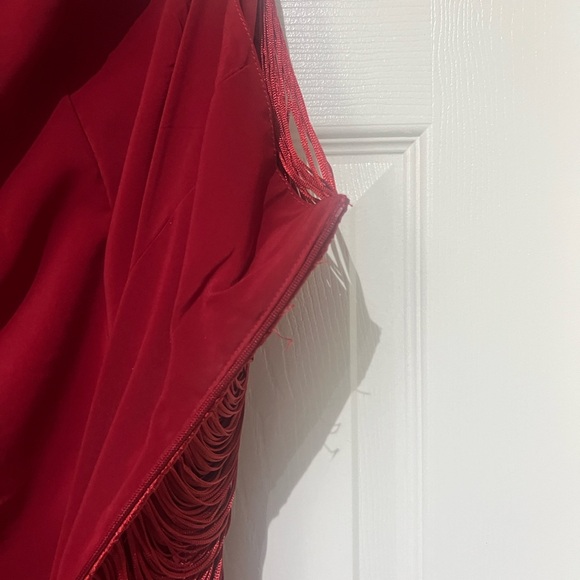 Zara Fringe Dress - Picture 7 of 9